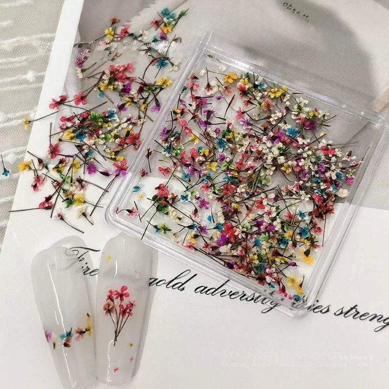 Fleur séchées naturelles - nail art